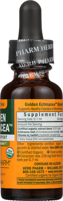 Golden Echinacea Glycerite 1 oz