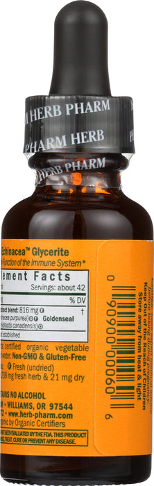 Golden Echinacea Glycerite 1 oz