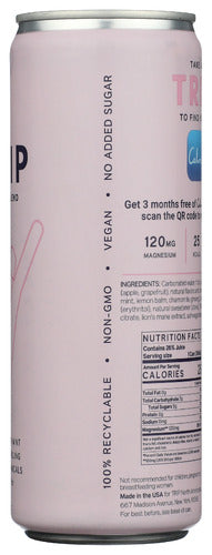 Sparkling Drink, Elderflower Mint, 12 fl oz