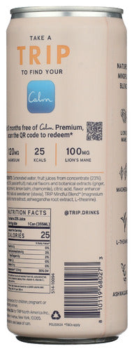 Sparkling Drink, Peach Ginger, 12 fl oz