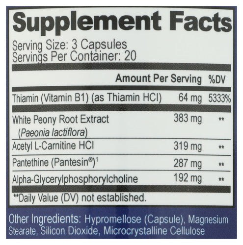 AcetylCholine Brain Food, 60 vcap