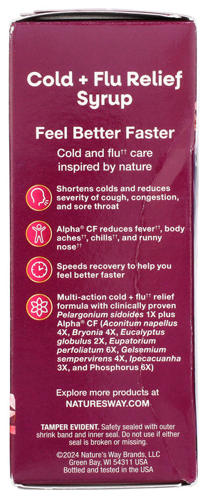 Umcka Cold And Flu, Berry, 4 floz