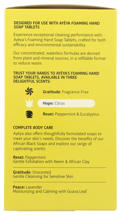 Citrus Foaming Hand Soap Starter Kit, 8 fl oz