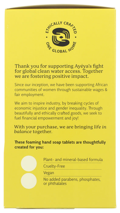 Citrus Foaming Hand Soap Starter Kit, 8 fl oz