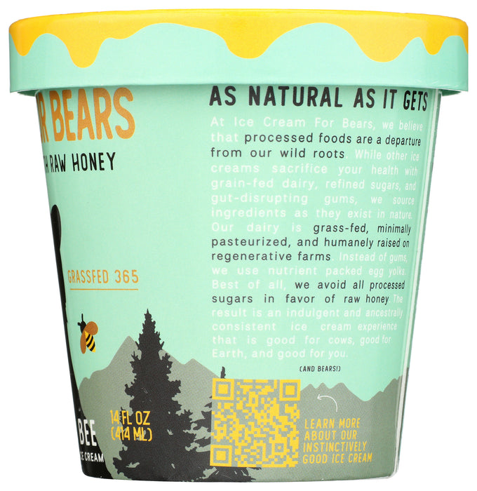 Ice Cream Sweetened with Honey, Mint Chip, 14 fl oz