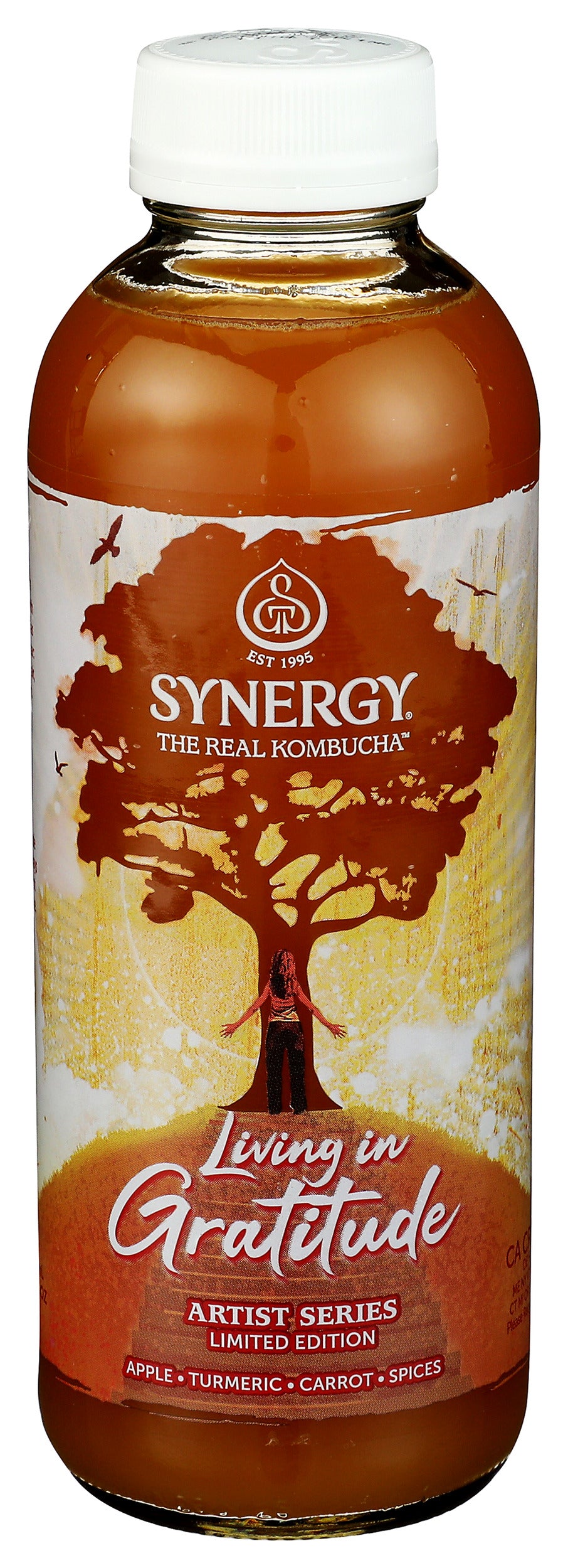 Synergy Raw Kombucha, Seasonal, Org, 16 floz — Natures Pick Market