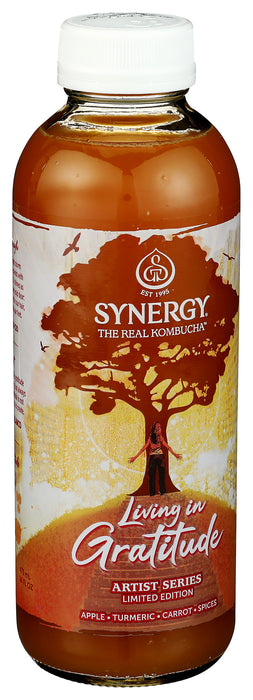 Synergy Raw Kombucha, Seasonal, Org, 16 floz