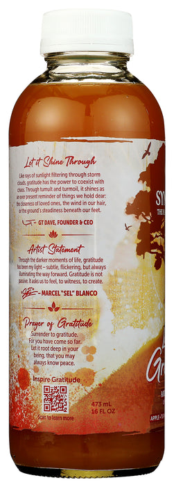 Synergy Raw Kombucha, Seasonal, Org, 16 floz