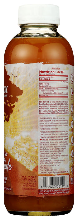 Synergy Raw Kombucha, Seasonal, Org, 16 floz