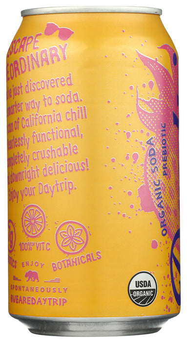 Prebiotic Berry Citrus Soda, Org, 12 fl oz