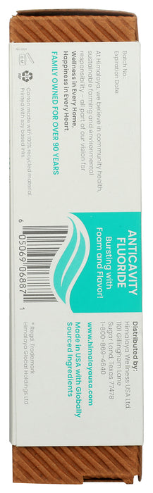 Anticavity Fluoride Toothpaste, Mint, 4 oz