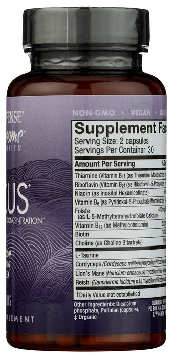 Focus Mushroom Mycelium Complex, 60 cap