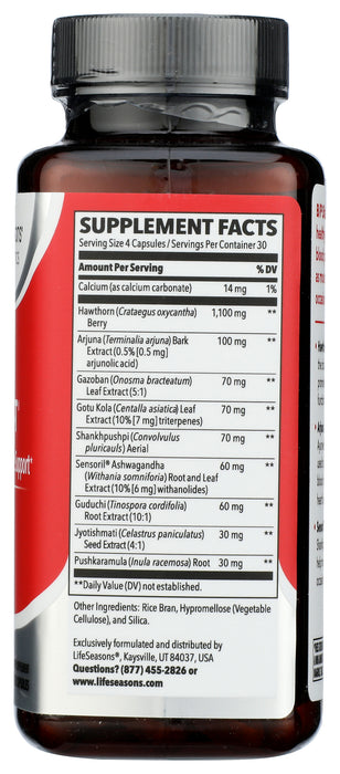 B/P Stabili-T Blood Pressure Support, 120 vcap