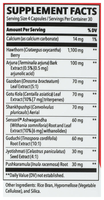 B/P Stabili-T Blood Pressure Support, 120 vcap