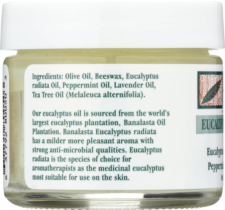 Eucalyptus Chest Rub, 2 oz