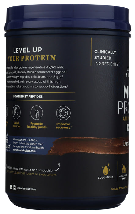 Multi Protein Powder Animal Base + Creatine, Chocolate, 22 oz