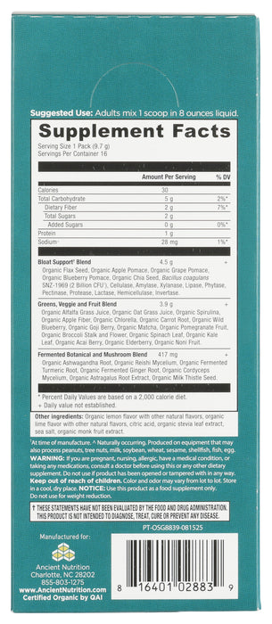 Super Greens Bloat Relief, Citrus Apple, Org, 5.4 oz / 16 stick