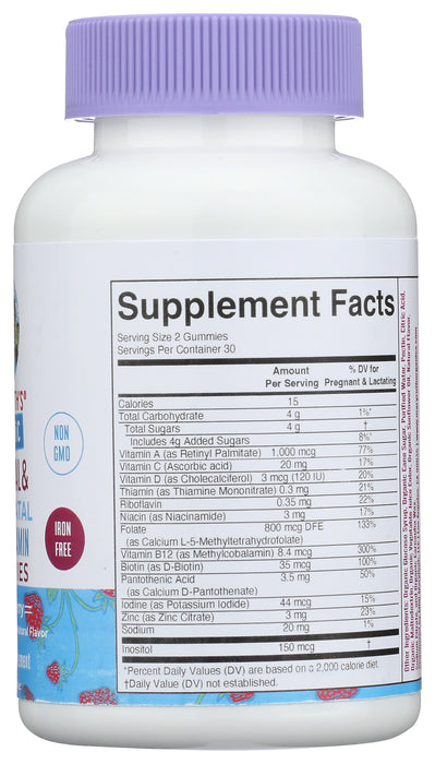 Prenatal & Postnatal Multivitamin Gummies, Strawberry, Org, 60 gummy