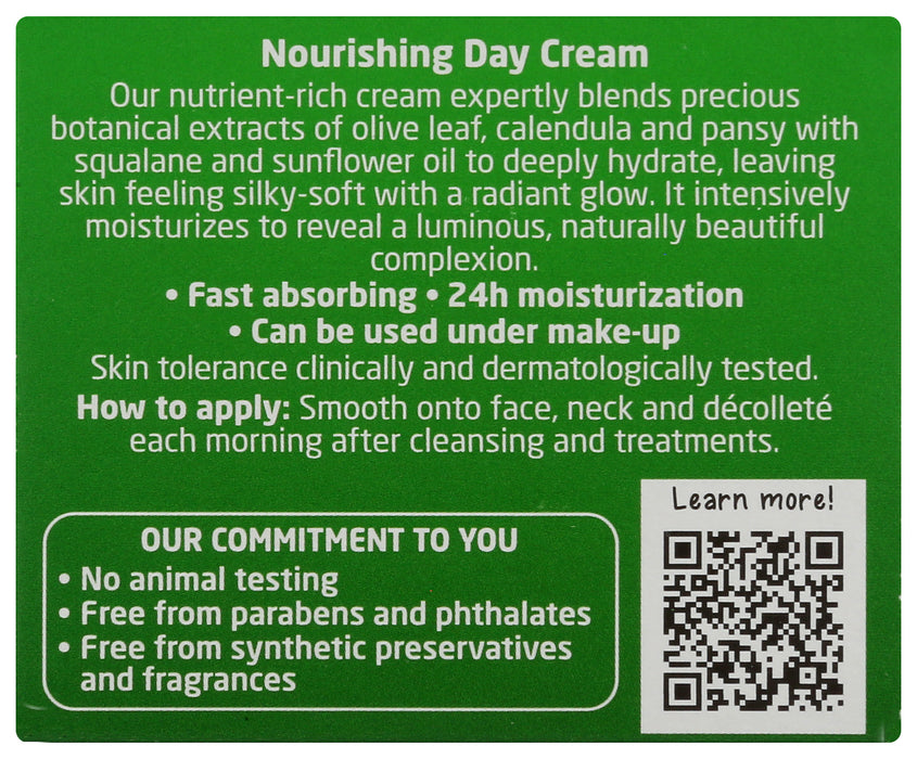 Skin Food, Nourishing Day Cream, 1.3 fl oz