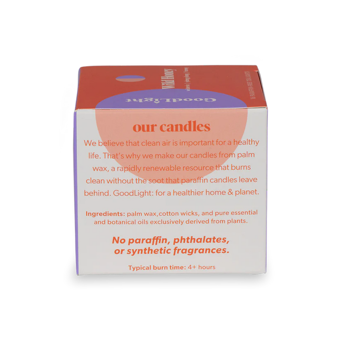 Candle, Tea Lights, Wild Honey, 16 ct
