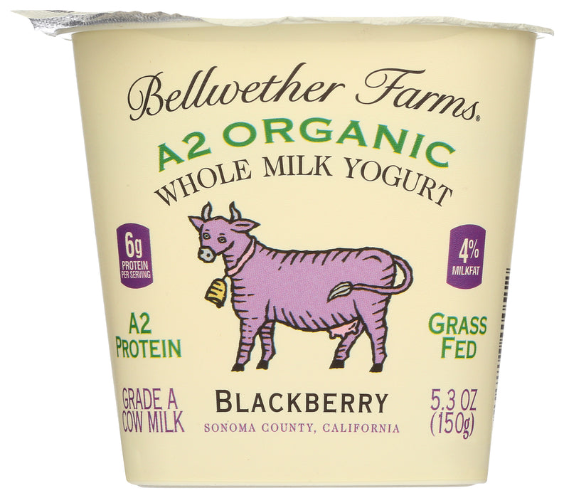 A2 Whole Milk Yogurt, Blackberry, Org, 5.3 oz