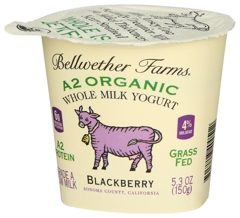 A2 Whole Milk Yogurt, Blackberry, Org, 5.3 oz