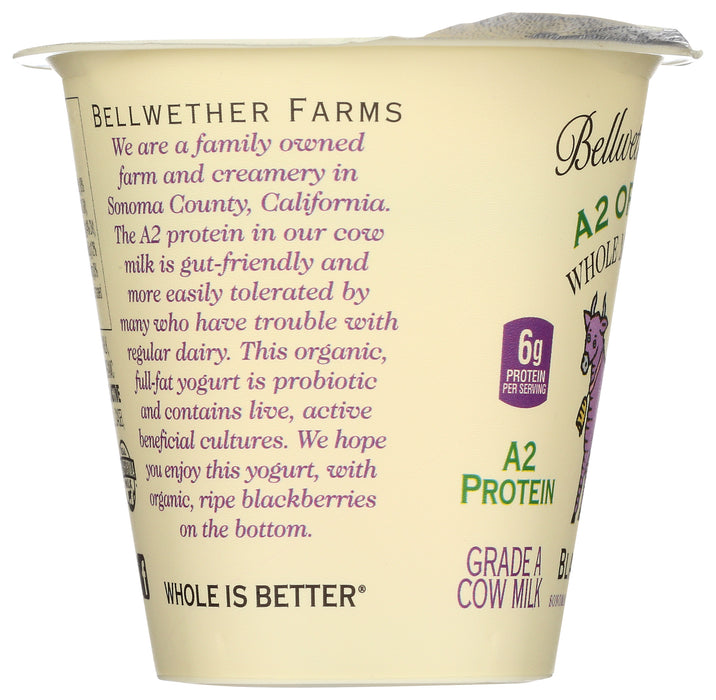 A2 Whole Milk Yogurt, Blackberry, Org, 5.3 oz