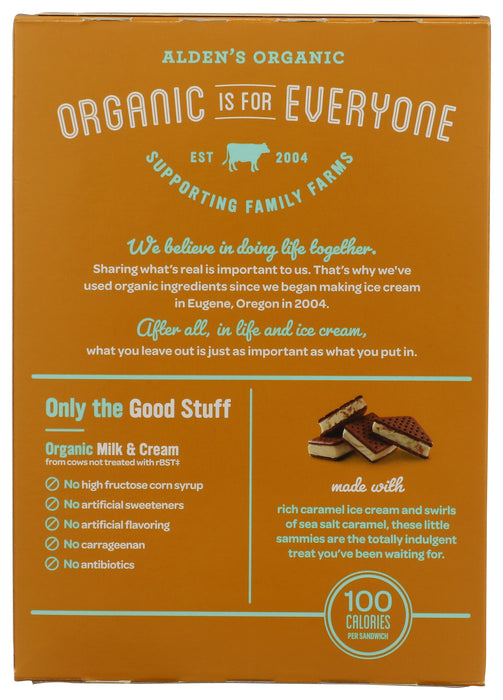 Ice Cream Sandwich, Sea Salt Caramel, Org, 16 fl oz