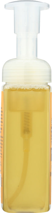 Foaming Herbal Hand Soap, Orange Spice, 8.8 fl oz