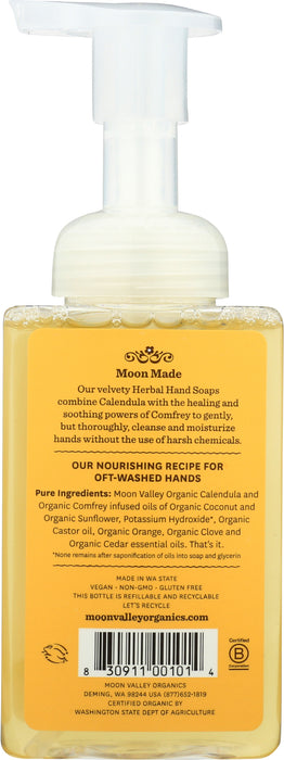 Foaming Herbal Hand Soap, Orange Spice, 8.8 fl oz
