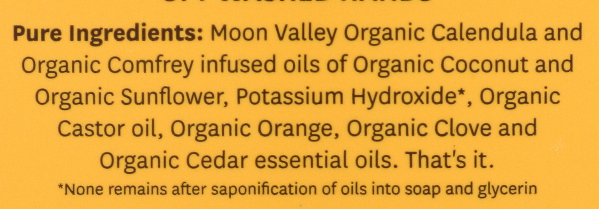 Foaming Herbal Hand Soap, Orange Spice, 8.8 fl oz