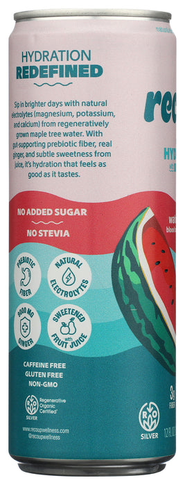 Sparkling Hydration, Watermelon Orange Ginger, Reg Org, 12 fl oz