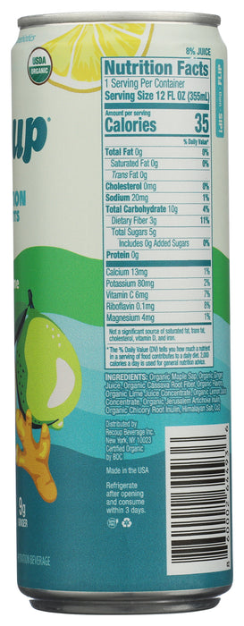 Sparkling Hydration, Lemon Lime Ginger, Reg Org, 12 fl oz