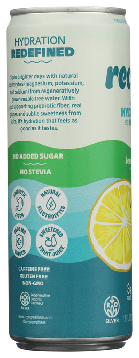 Sparkling Hydration, Lemon Lime Ginger, Reg Org, 12 fl oz