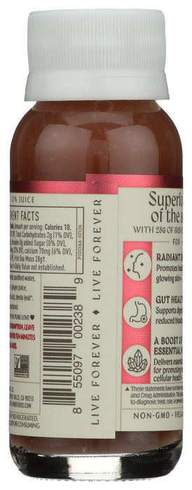 Irish Sea Moss Shot, 2 fl oz