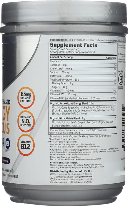 Sport Organic Energy + Focus, Blackberry, 432 g