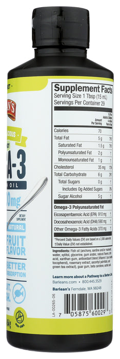 Fish Omega Swirl, Citrus Sorbet High Potency, 16 fl oz