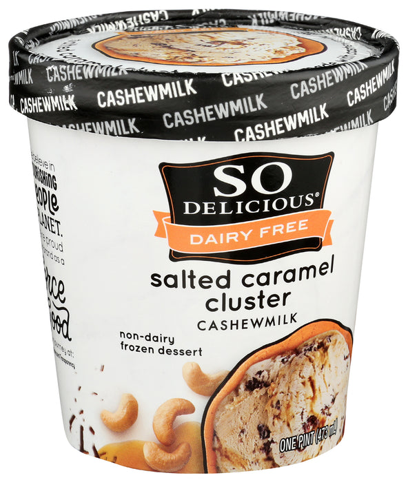 Salted Caramel Cashew Milk Ice Cream, 1 pint